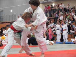 Bilder aus 2011